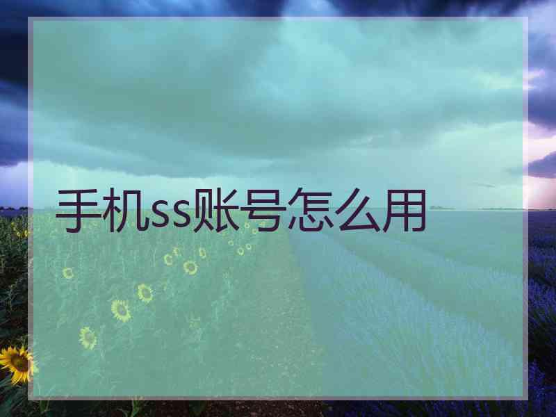 手机ss账号怎么用