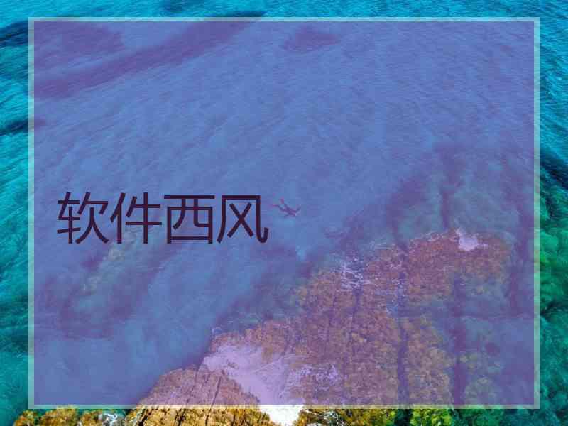 软件西风