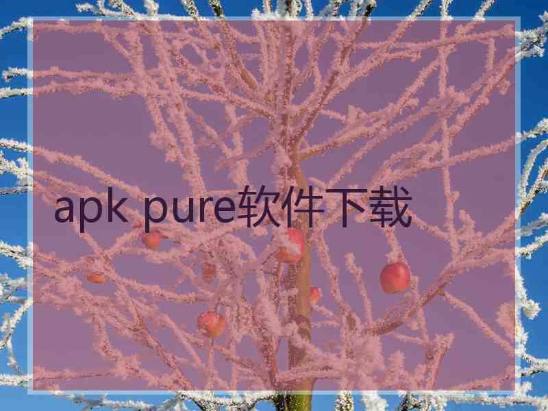 apk pure软件下载