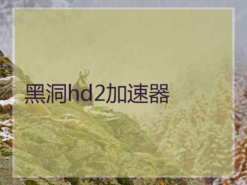 黑洞hd2加速器