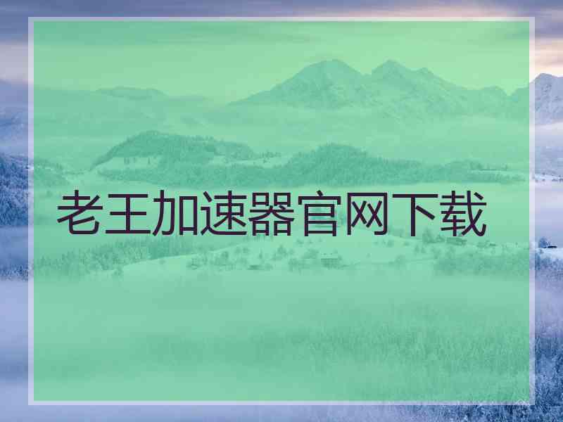 老王加速器官网下载