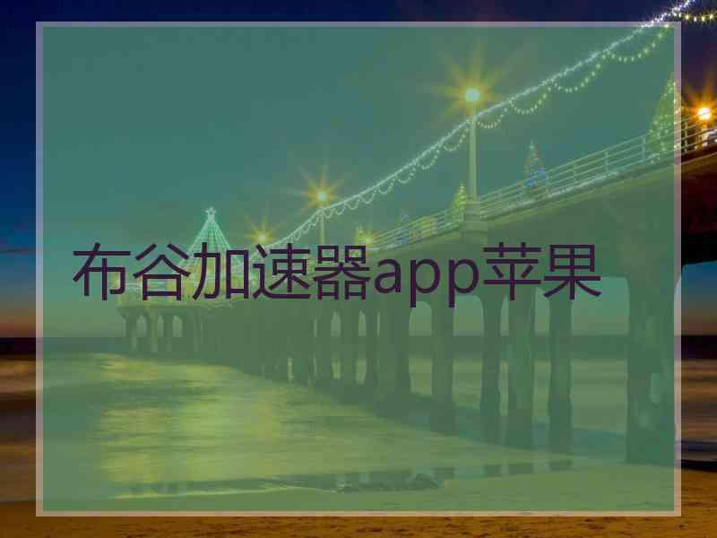 布谷加速器app苹果