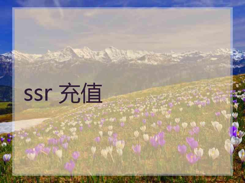 ssr 充值