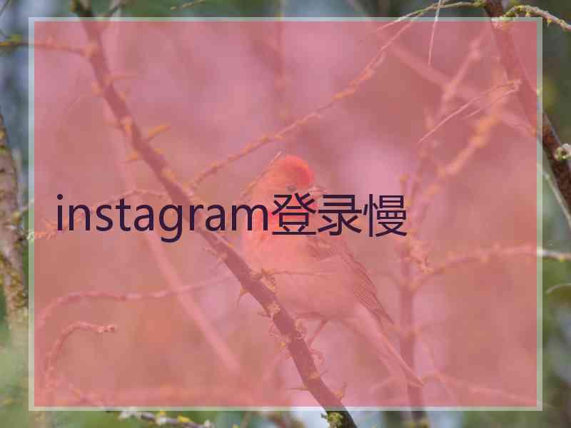 instagram登录慢