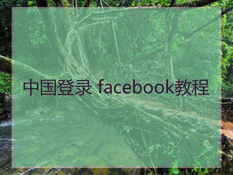 中国登录 facebook教程