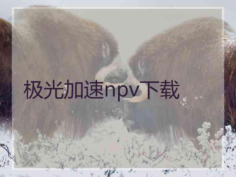 极光加速npv下载