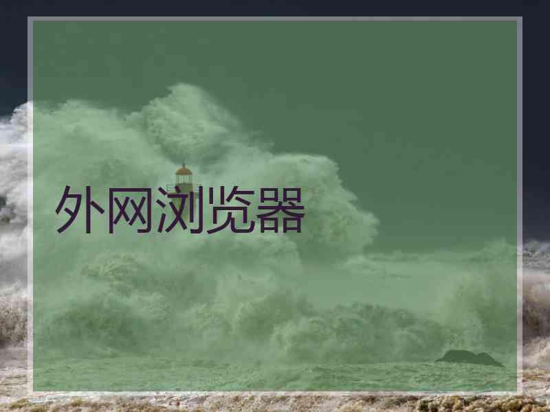 外网浏览器