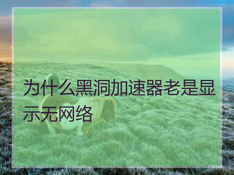 为什么黑洞加速器老是显示无网络