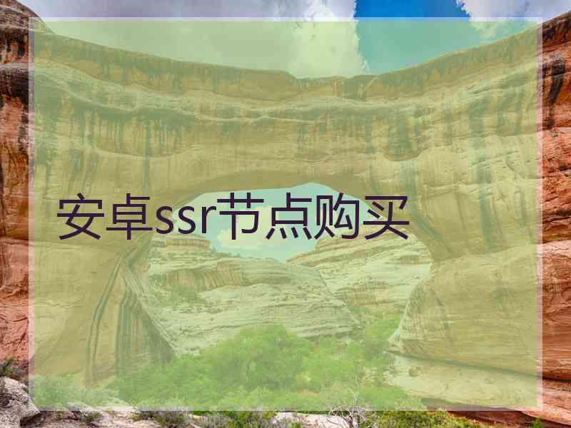 安卓ssr节点购买