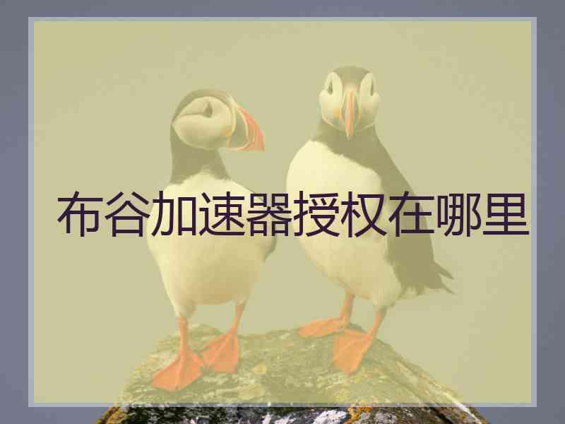 布谷加速器授权在哪里
