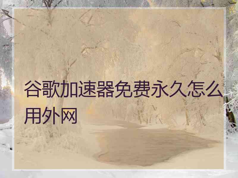 谷歌加速器免费永久怎么用外网
