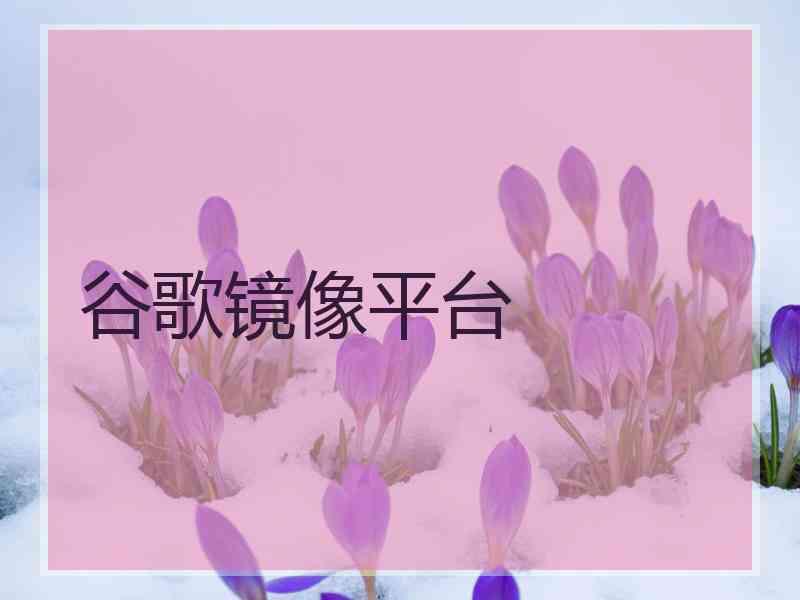 谷歌镜像平台