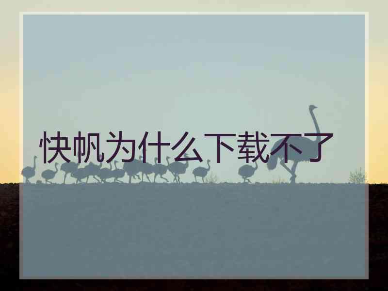 快帆为什么下载不了