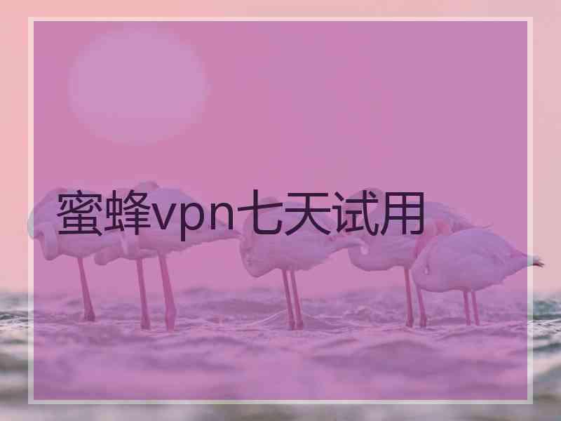 蜜蜂vpn七天试用