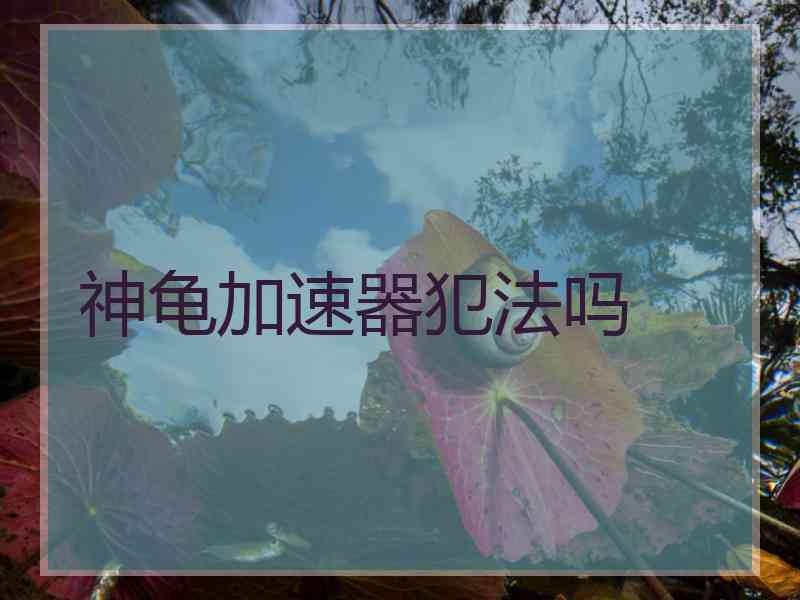 神龟加速器犯法吗