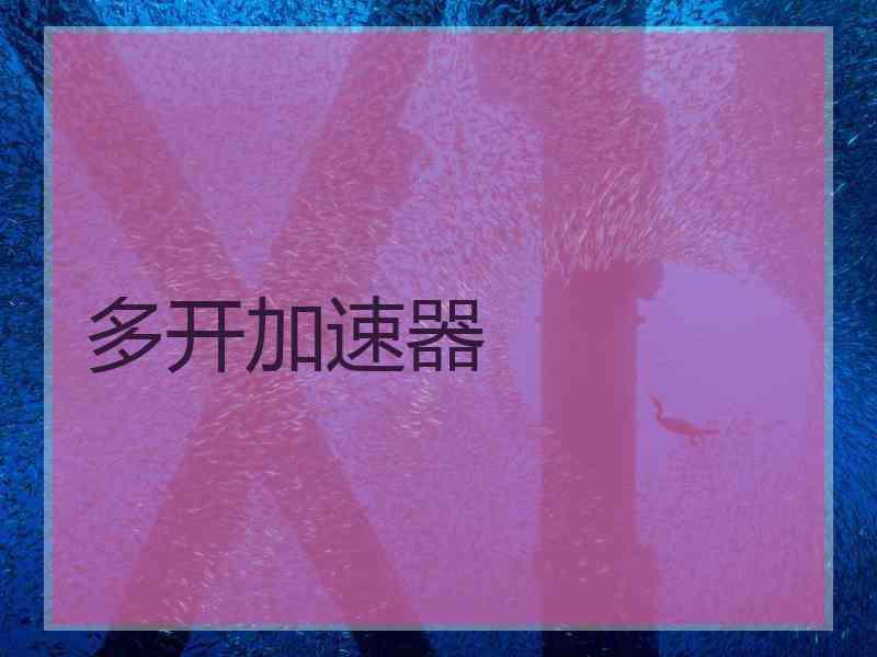 多开加速器