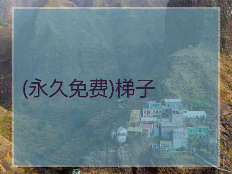 (永久免费)梯子