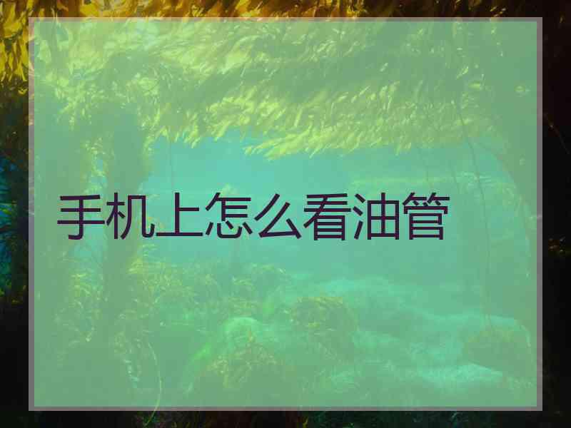 手机上怎么看油管