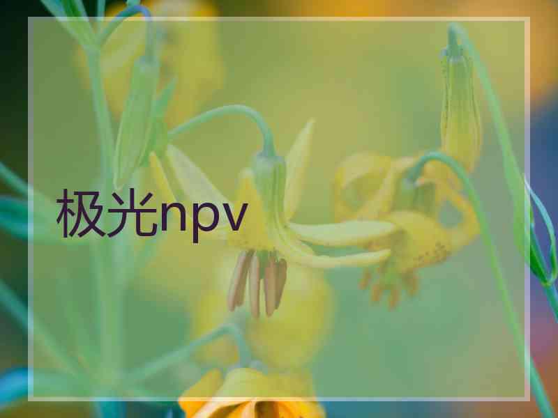 极光npv
