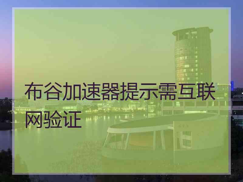 布谷加速器提示需互联网验证