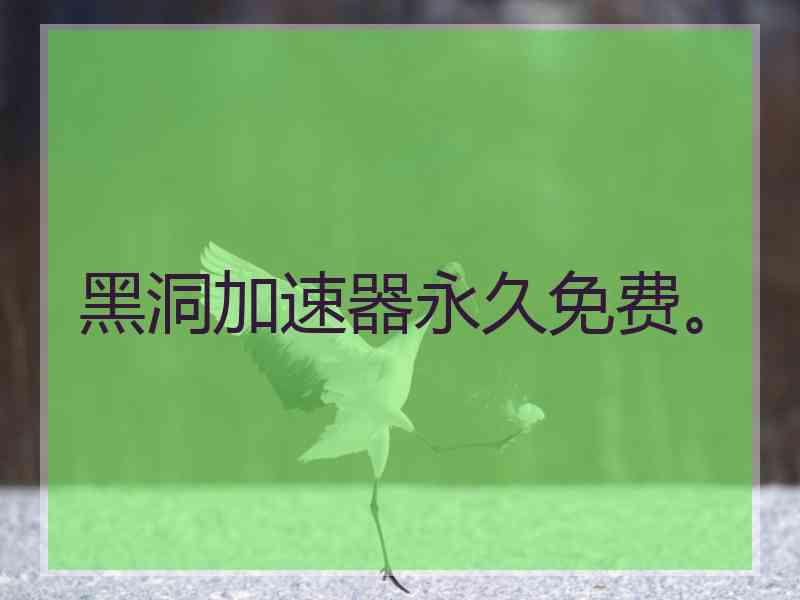 黑洞加速器永久免费。