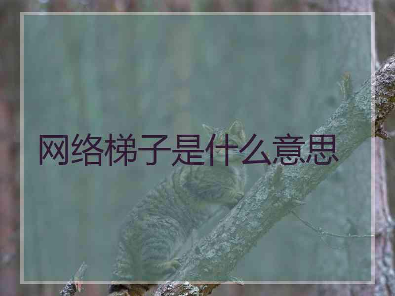 网络梯子是什么意思