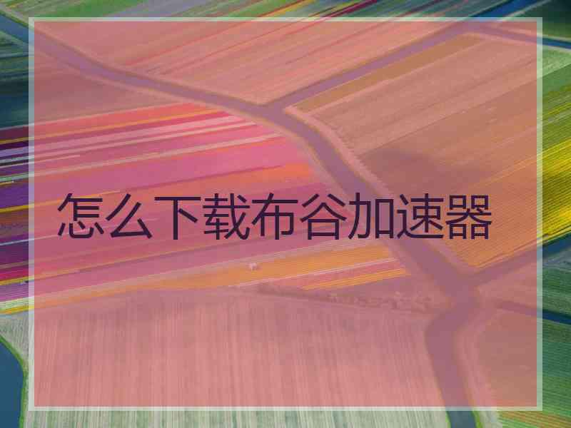 怎么下载布谷加速器