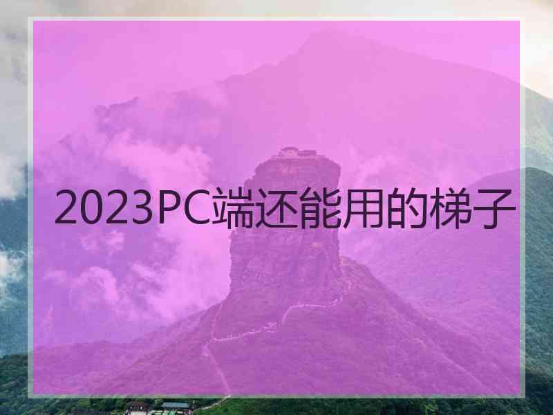 2023PC端还能用的梯子
