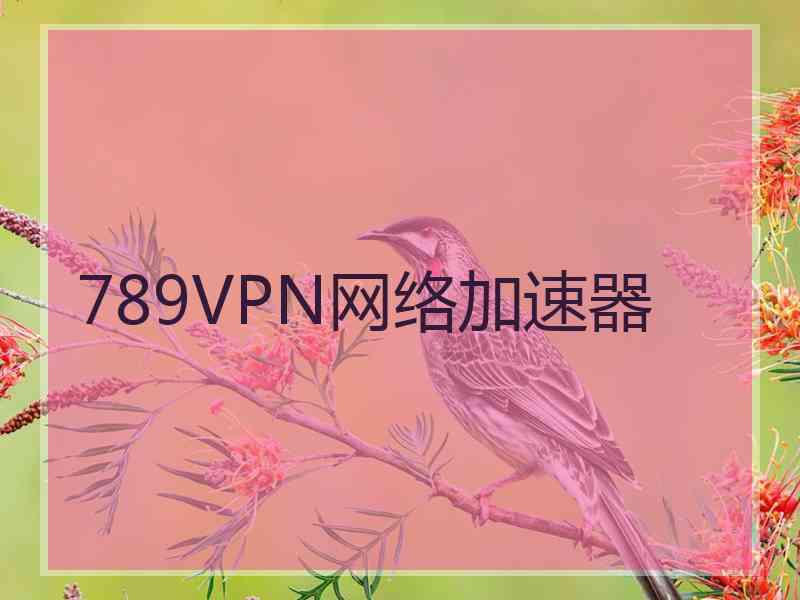 789VPN网络加速器