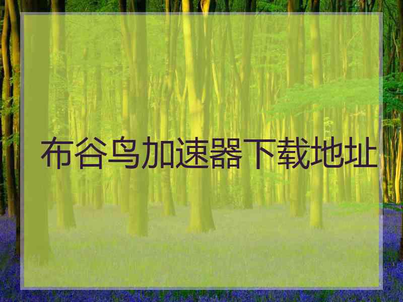 布谷鸟加速器下载地址