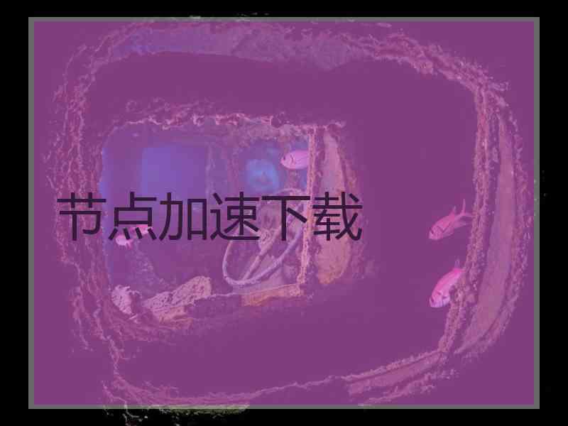 节点加速下载