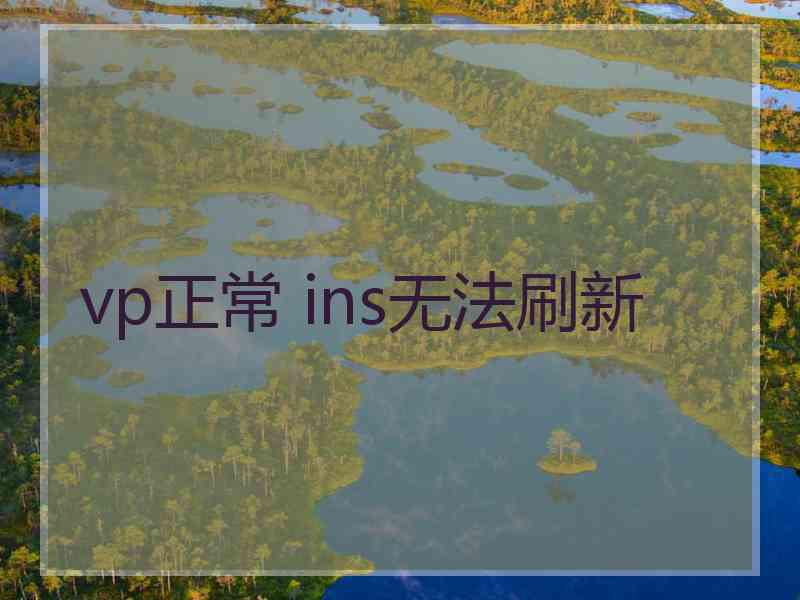 vp正常 ins无法刷新