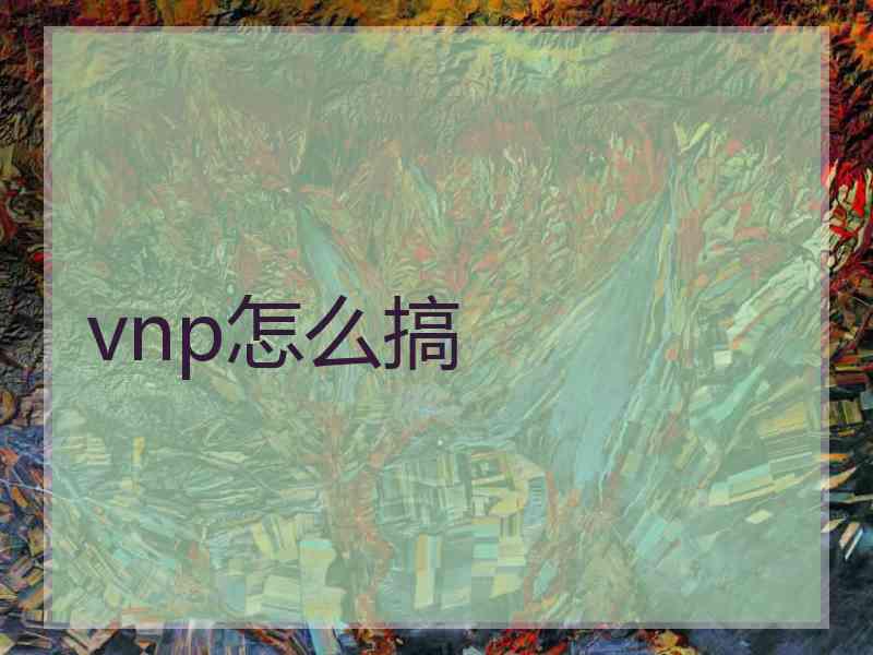 vnp怎么搞