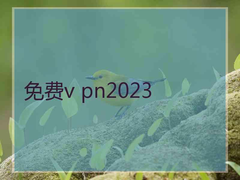 免费v pn2023