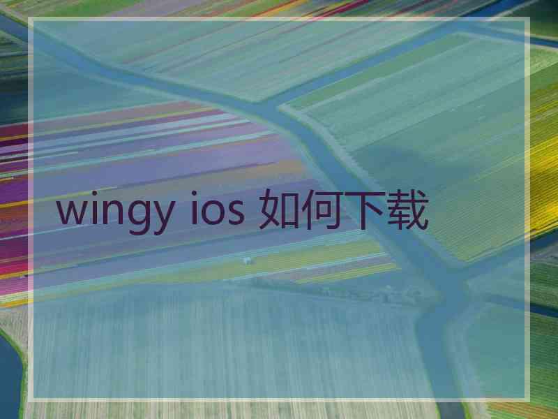 wingy ios 如何下载