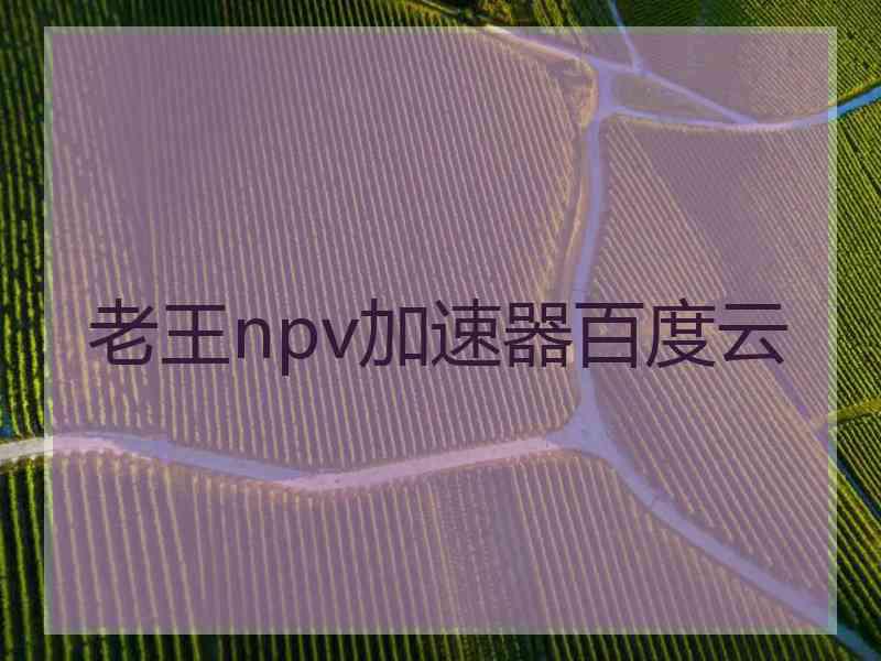 老王npv加速器百度云