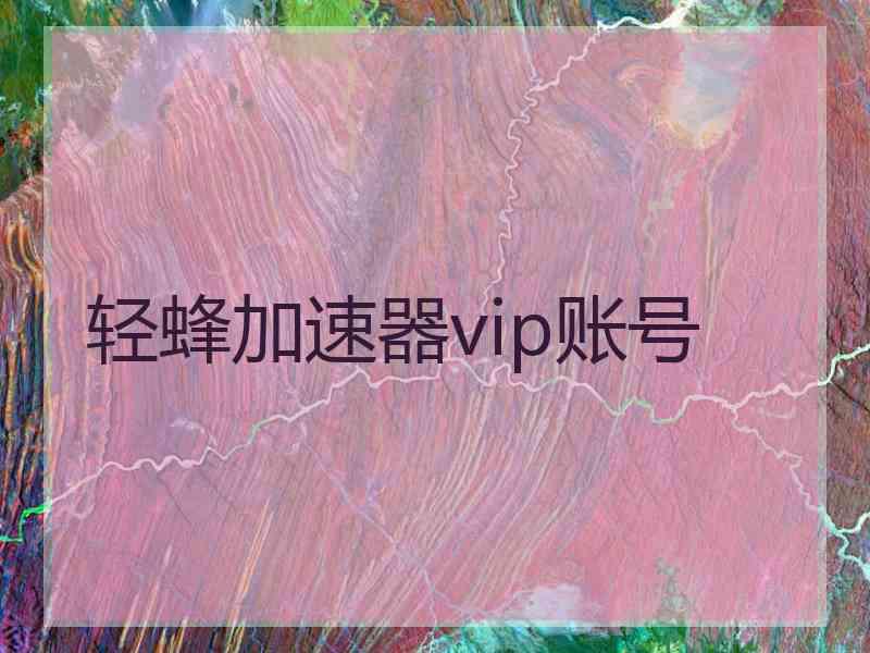 轻蜂加速器vip账号