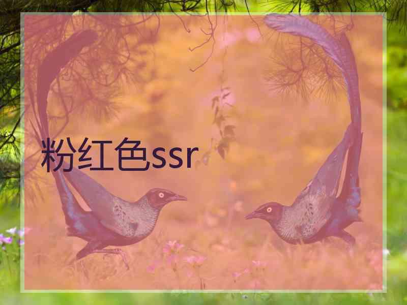 粉红色ssr