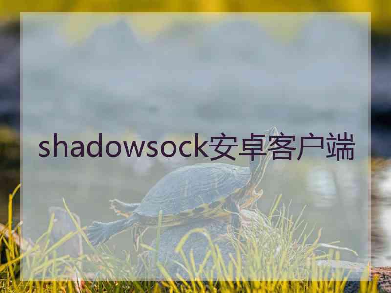 shadowsock安卓客户端
