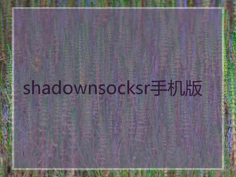 shadownsocksr手机版