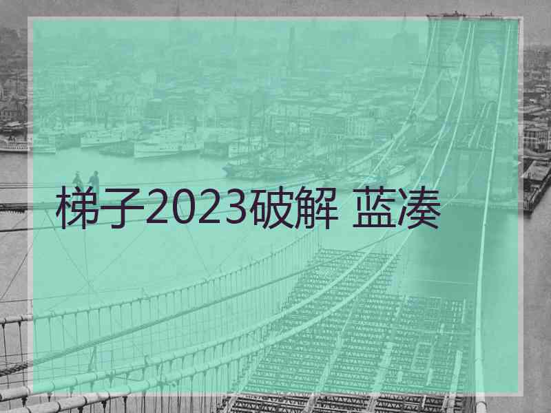梯子2023破解 蓝凑
