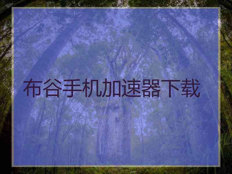 布谷手机加速器下载