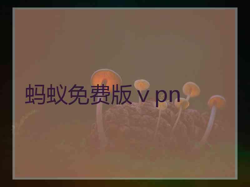 蚂蚁免费版ⅴpn