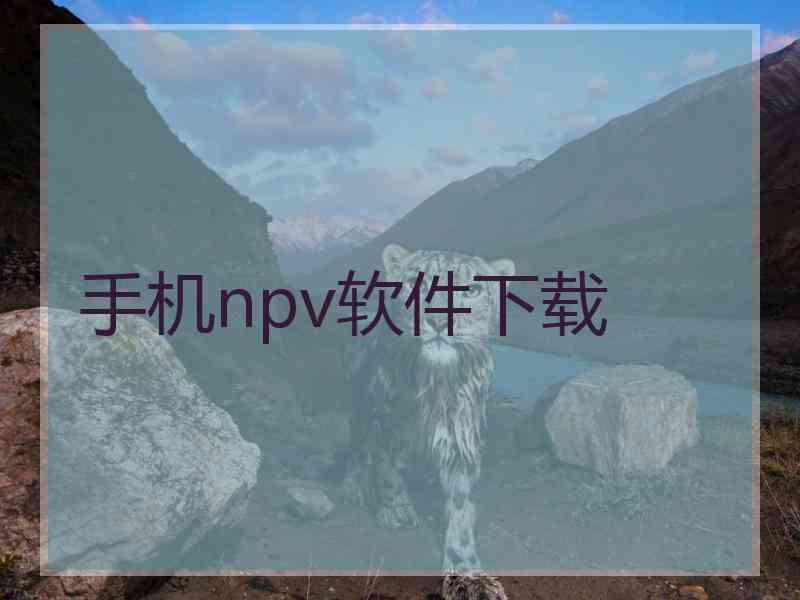 手机npv软件下载