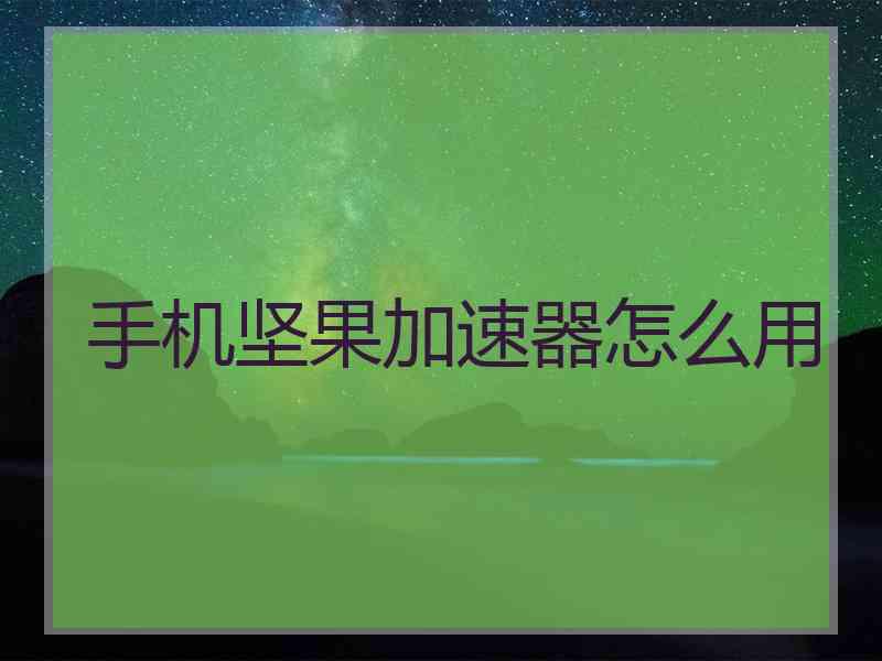 手机坚果加速器怎么用