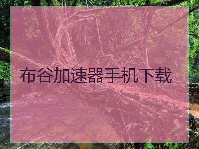 布谷加速器手机下载