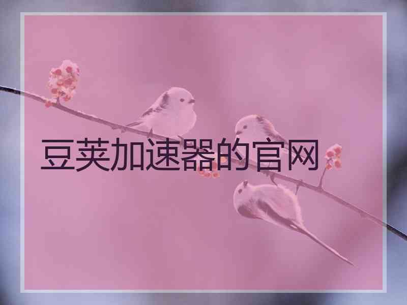 豆荚加速器的官网