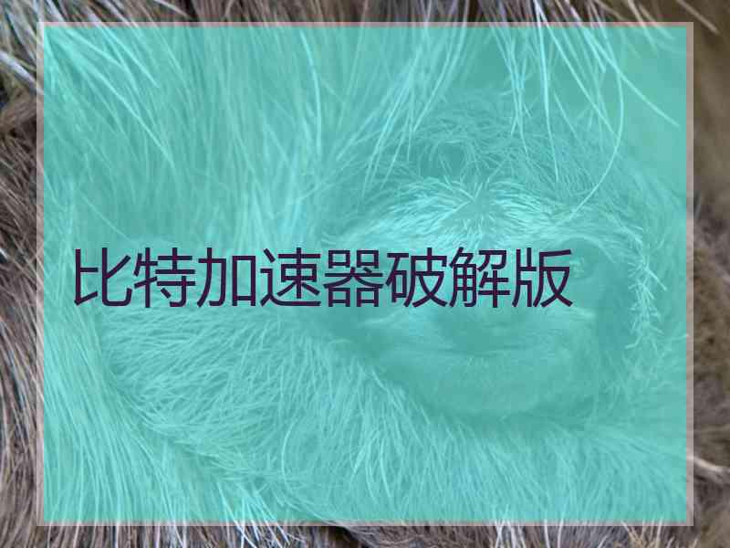 比特加速器破解版
