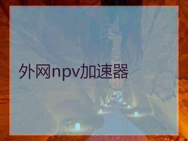 外网npv加速器