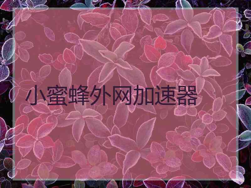 小蜜蜂外网加速器